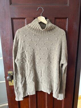 Everlane Alpaca Wool Turtleneck - Small